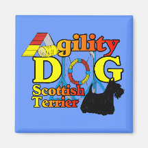 Scotsh_Terrier_Agility