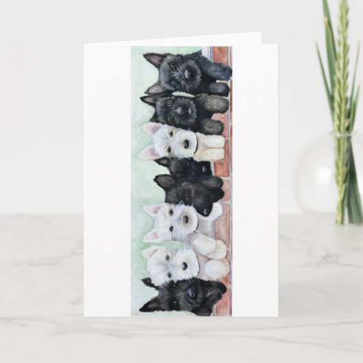 Scottie Puppies カード (正面)