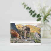 Scottish deerhound ポストカード (スタンド正面)