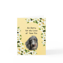 Scottish Deerhound and Dogwood sympathy