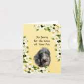 Scottish Deerhound and Dogwood sympathy カード (正面)