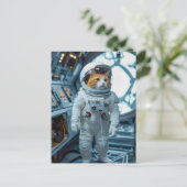 Scottish Fold cat inside space capsule シーズンポストカード (スタンド正面)