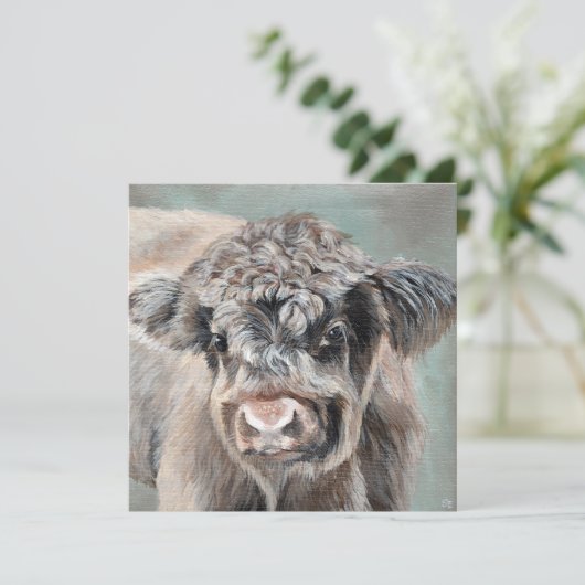 Scottish Highland Calf on Green (スタンド正面)