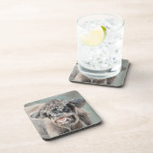 Scottish Highland Calf on Green コースター (右側)