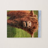 Scottish Highland Cattle - Scotland ジグソーパズル (横)