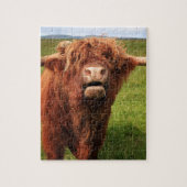 Scottish Highland Cattle - Scotland ジグソーパズル (縦)