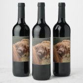 Scottish Highland cow photograph  ワインラベル (ボトル)