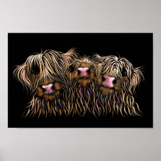 SCoTTiSH HigHLaND CoWS ' THe McDouGHNuTS ' ポスター