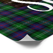 Scottish Highland Steer ポスター (角)
