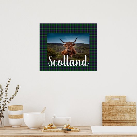 Scottish Highland Steer ポスター (キッチン)