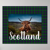 Scottish Highland Steer ポスター (正面)