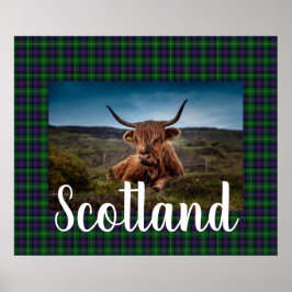 Scottish Highland Steer ポスター