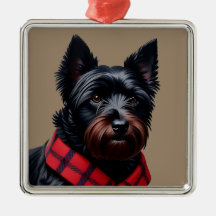 Scottish Terrier