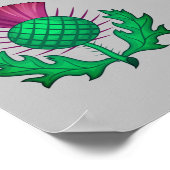 Scottish Thistle ポスター (角)