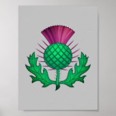 Scottish Thistle ポスター (正面)