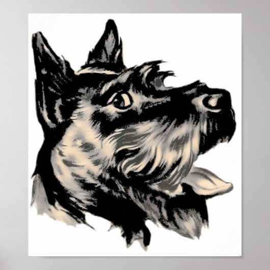 Scotty Dogポスター ポスター (正面)