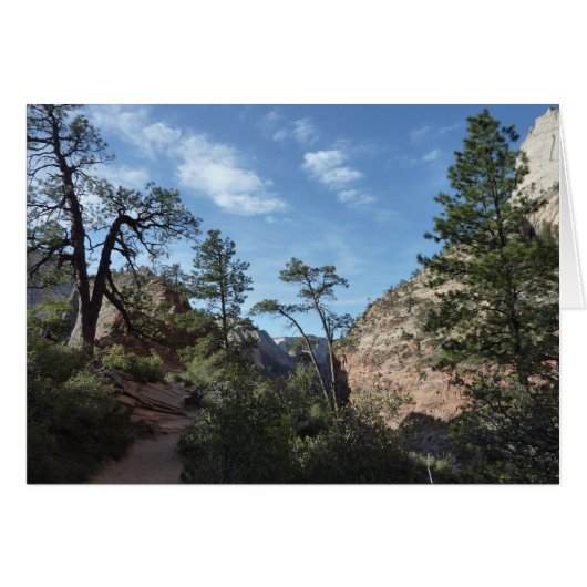 Scout Lookout at Zion National Parkからの眺め (正面横)