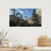 Scout Lookout at Zion National Parkからの眺め ポスター (キッチン)