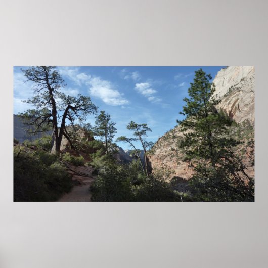 Scout Lookout at Zion National Parkからの眺め ポスター (正面)