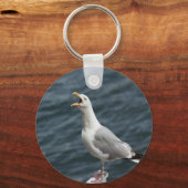 screaming seagull singing love songs キーホルダー (正面)