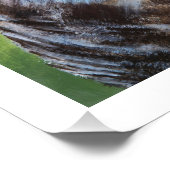 Screeching Owl Poster Print ポスター (コーナー)