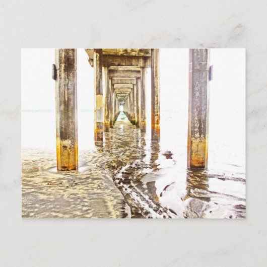 Scripps Pierの下 ポストカード (正面)