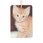 Script エレガント Monogramラバ淡い色のンダー猫の写真 カーエアーフレッシュナー (裏面)