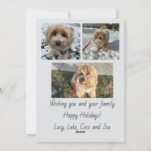 Script Happy Holidays Photo Card シーズンカード (裏面)