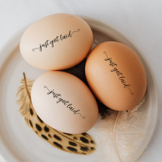 Script just got laid egg mini stamp セルフインキングスタンプ