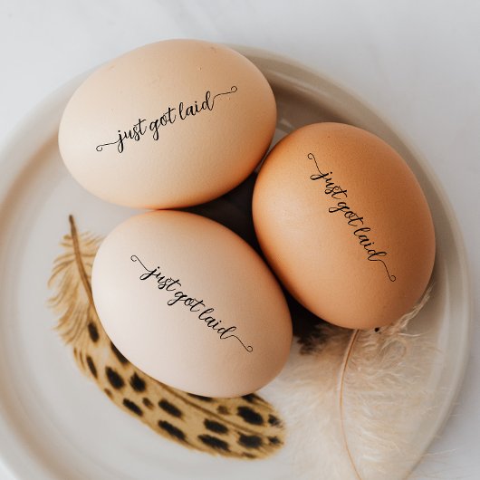 Script just got laid egg mini stamp セルフインキングスタンプ