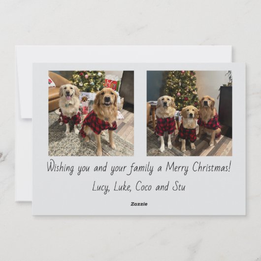 Script Merry Christmas Photo Card シーズンカード (裏面)