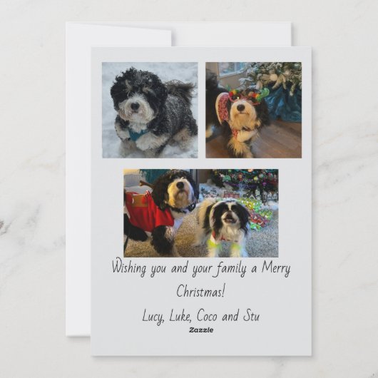 Script Merry Christmas Photo Card シーズンカード (裏面)