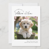 Script Modern Minimalist Ador Him Dog Family Photo シーズンカード (正面)