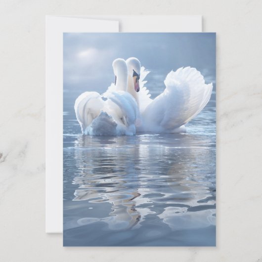 Script Swan Lake Wedding Rehearsal Dinner 招待状 (裏面)