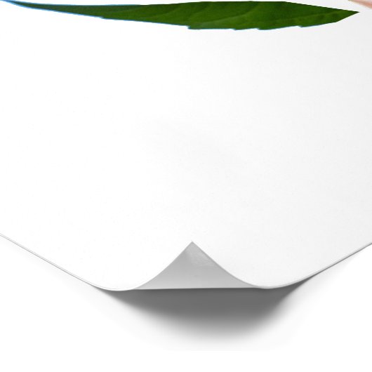 Scripture, Psalm 9, All Your Wonderful Deeds LORD ポスター (角)