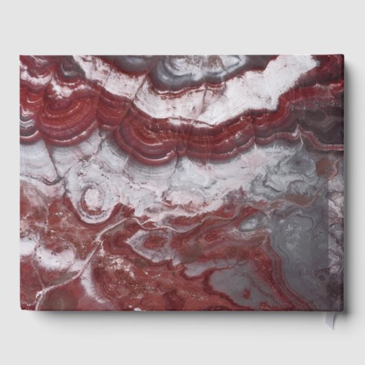 Scroll ゲストブック (裏面)