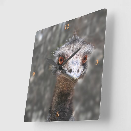 Scruffy Ole Bird, Emu. スクエア壁時計 (傾斜)