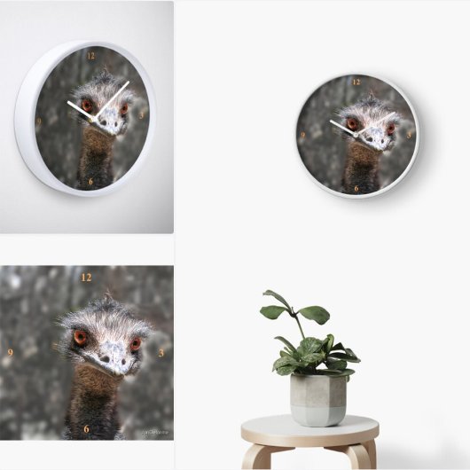 Scruffy Ole Bird, Emu. スクエア壁時計