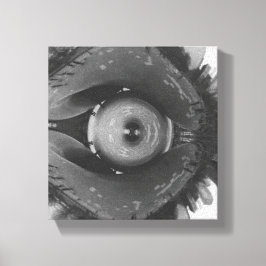 Scrunched Chicago Eye キャンバスプリント