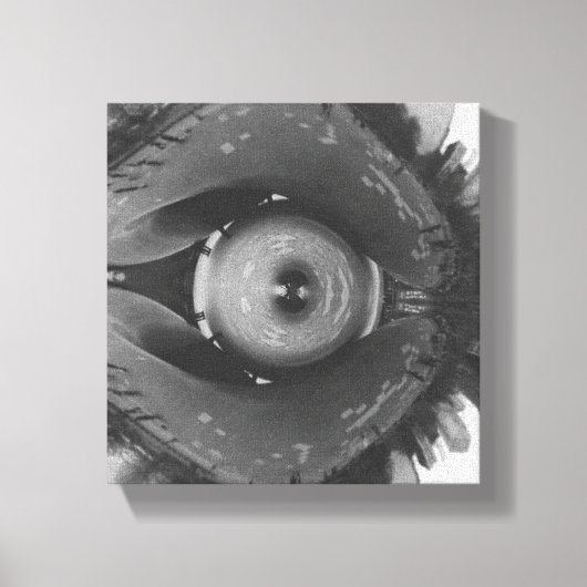 Scrunched Chicago Eye キャンバスプリント (正面)