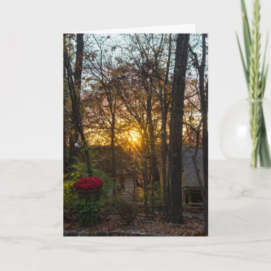 Sdcウッズサンセット カード (正面)