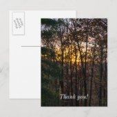 SDC ウッディー・サンセット ポストカード (正面/裏面)