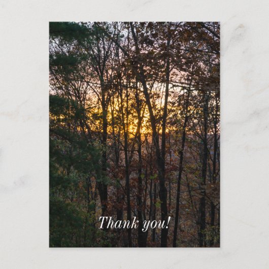 SDC ウッディー・サンセット ポストカード (正面)