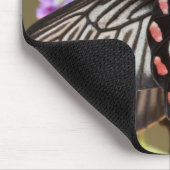 SEアジア、タイ、ドイインタノン、パピリオ マウスパッド (コーナー)