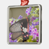 SEアジア、タイ、ドイインタノン、パピリオ メタルオーナメント (左)