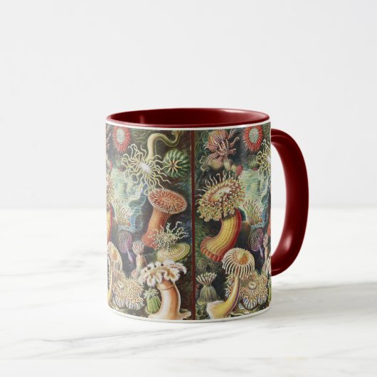 Sea Anemone Scientific Nature Ocean マグカップ (正面右)