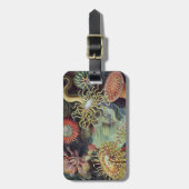Sea Anemone Scientific Nature Ocean ラゲッジタグ (正面縦)