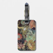 Sea Anemone Scientific Nature Ocean ラゲッジタグ (裏面縦)
