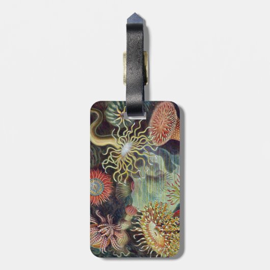 Sea Anemone Scientific Nature Ocean ラゲッジタグ (裏面縦)