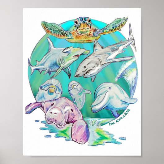 Sea Circle of Life Valueポスター紙（マット） ポスター (正面)